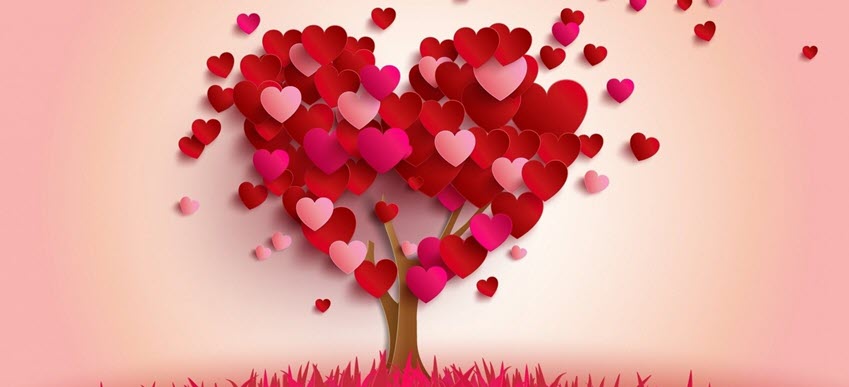 cây trái tim tình yêu ảnh bìa đẹp