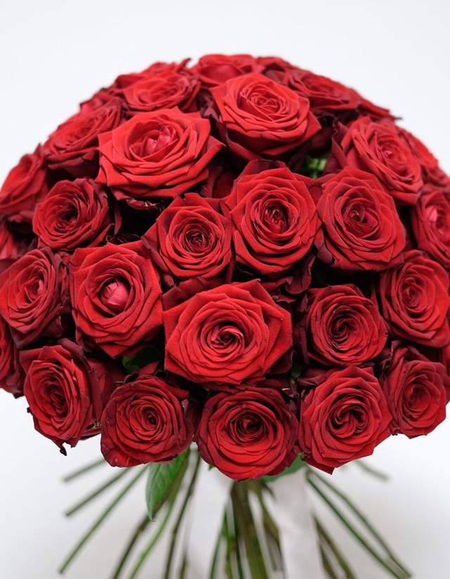 Hình ảnh hoa Hồng đỏ  Tổng hợp hình ảnh hoa Hồng đỏ đẹp nhất  Trung Tâm  Đào Tạo Việt Á