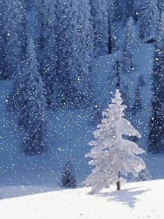 Hình ảnh động mùa đông tuyết rơi đẹp