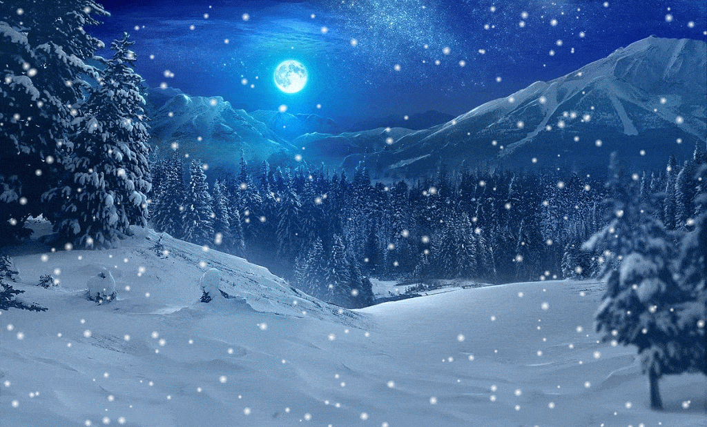 Hình ảnh gif khu rừng tuyết rơi đêm trăng