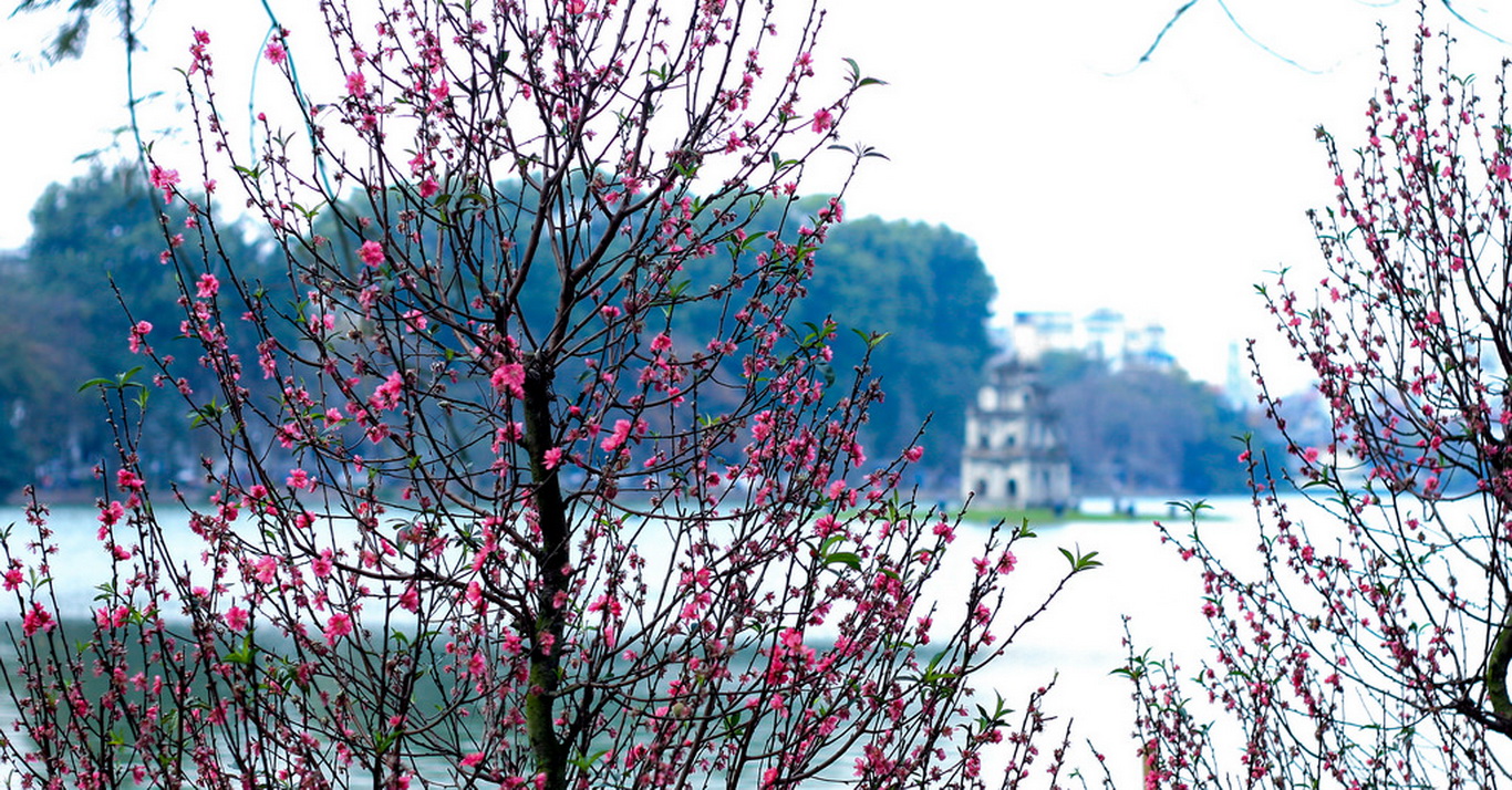 Tổng hợp những hình ảnh mùa xuân đẹp nhất - Thủ Thuật Phần Mềm