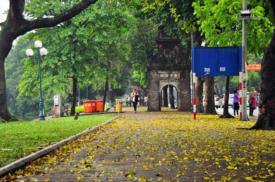 Hình hình ảnh phố cổ thủ đô hà nội mùa lá thu