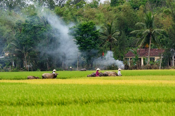 Hành trình khám phá nông thôn Việt Nam với 5 địa điểm nổi tiếng