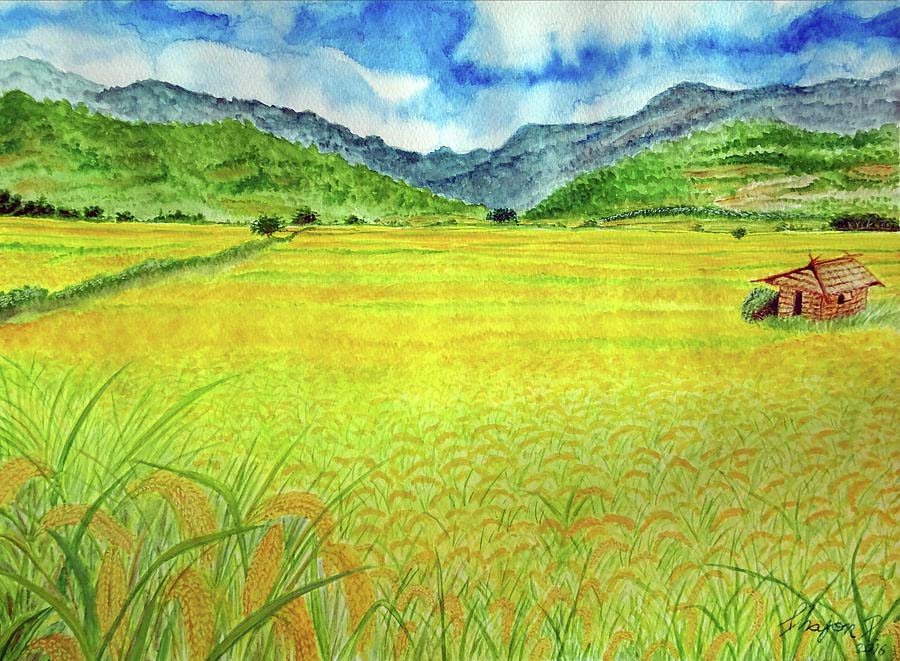 Ảnh vẽ cánh đồng lúa đẹp
