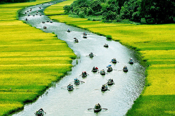 Tổng hợp hình ảnh về quê hương đất nước Việt Nam