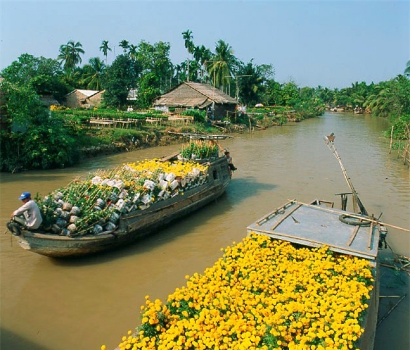 Bộ ảnh con người buôn bán dưới sông nước ở quê hương Việt nam