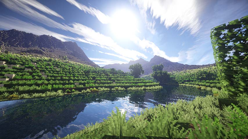 Hình ảnh của Minecraft field
