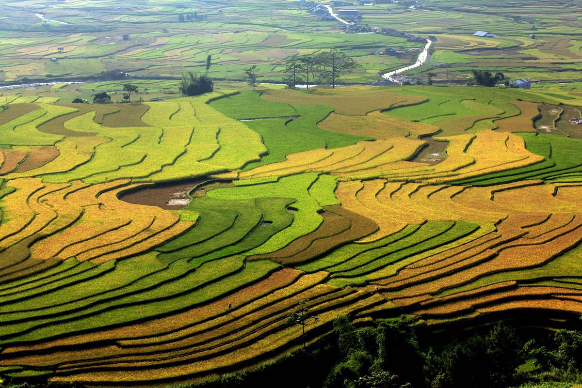 Cảnh đẹp nhất Việt Nam