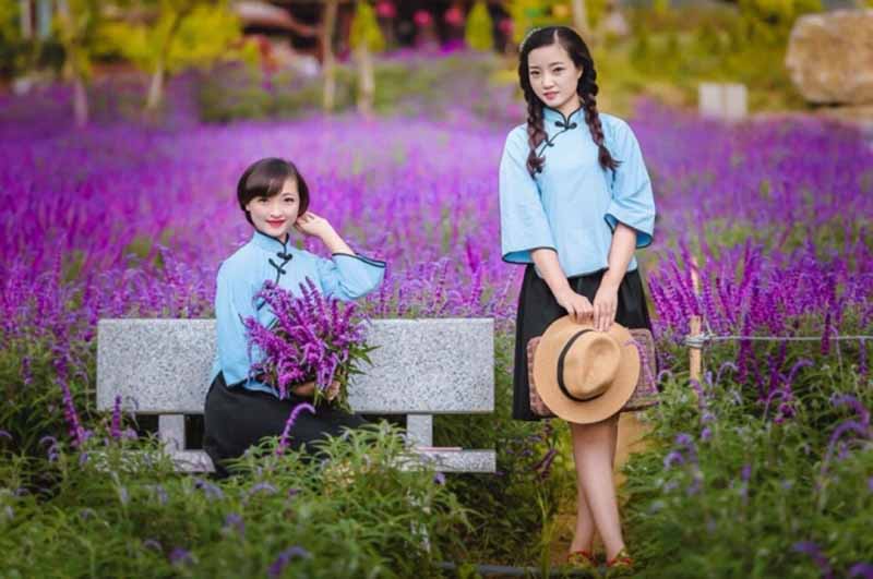 Những cô gái xinh đẹp bên cánh đồng hoa Oải hương đẹp nhất