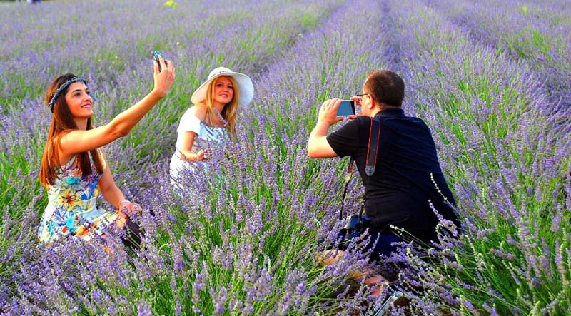 Tổng hợp những hình ảnh chụp ảnh nghệ thuật bên cánh đồng hoa Oải Hương