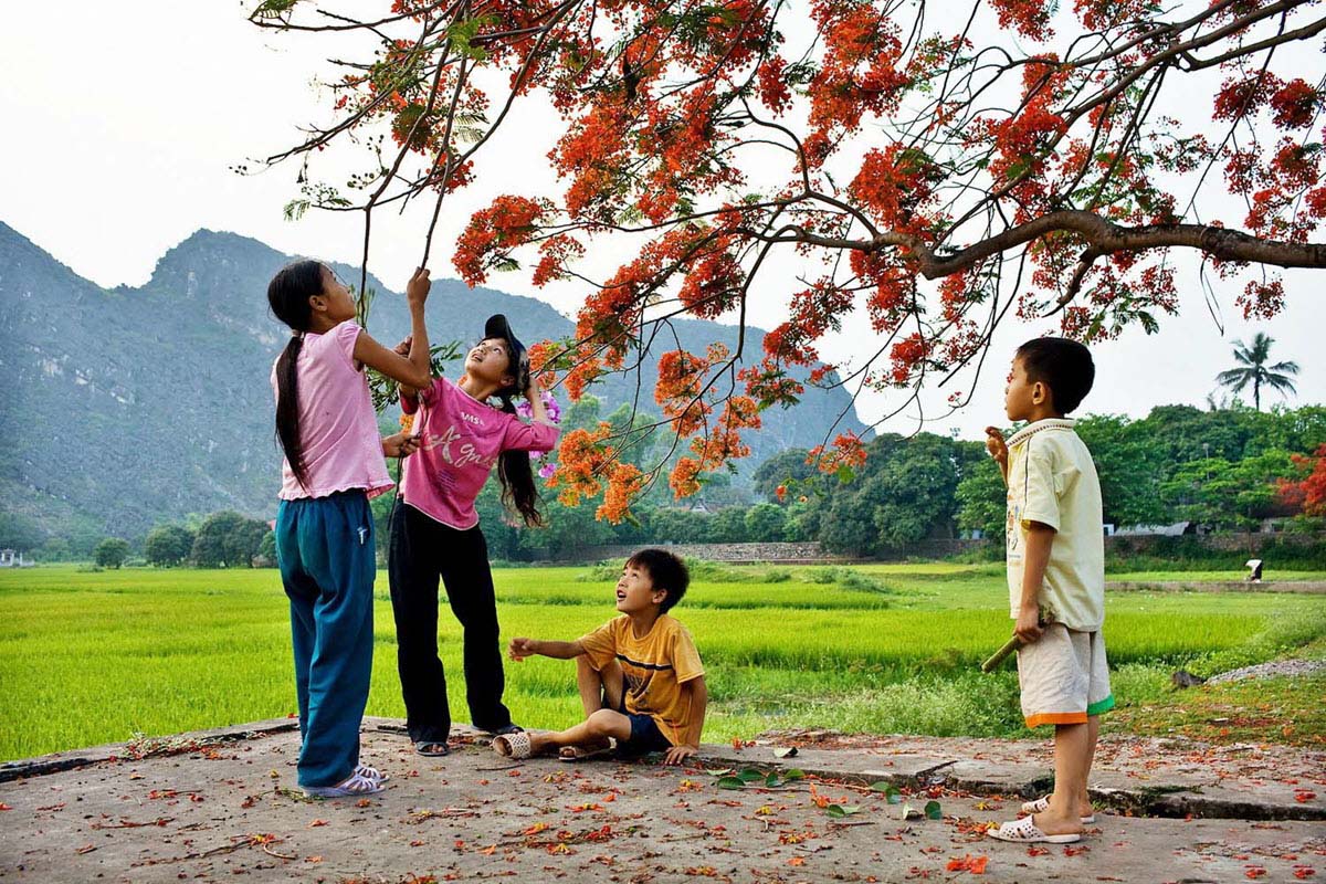 Hình ảnh mùa hè của trẻ em