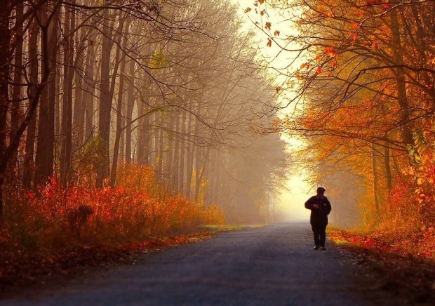 Die schönsten Herbst-Naturbilder TRAN HUNG DAO HIGH SCHOOL
